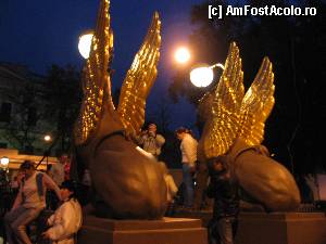 [P52] Grifoni cu aripi aurite » foto by Michi
 - 
<span class="allrVoted glyphicon glyphicon-heart hidden" id="av407346"></span>
<a class="m-l-10 hidden" id="sv407346" onclick="voting_Foto_DelVot(,407346,4057)" role="button">șterge vot <span class="glyphicon glyphicon-remove"></span></a>
<a id="v9407346" class=" c-red"  onclick="voting_Foto_SetVot(407346)" role="button"><span class="glyphicon glyphicon-heart-empty"></span> <b>LIKE</b> = Votează poza</a> <img class="hidden"  id="f407346W9" src="/imagini/loader.gif" border="0" /><span class="AjErrMes hidden" id="e407346ErM"></span>