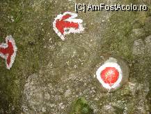 [P02] Semnul traseului nostru , ce ne mai bucuram cand il gaseam » foto by ionescunic
 - 
<span class="allrVoted glyphicon glyphicon-heart hidden" id="av103842"></span>
<a class="m-l-10 hidden" id="sv103842" onclick="voting_Foto_DelVot(,103842,4076)" role="button">șterge vot <span class="glyphicon glyphicon-remove"></span></a>
<a id="v9103842" class=" c-red"  onclick="voting_Foto_SetVot(103842)" role="button"><span class="glyphicon glyphicon-heart-empty"></span> <b>LIKE</b> = Votează poza</a> <img class="hidden"  id="f103842W9" src="/imagini/loader.gif" border="0" /><span class="AjErrMes hidden" id="e103842ErM"></span>