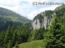 [P22] Imediat dupa colt se aude cascada jos in vale » foto by ionescunic
 - 
<span class="allrVoted glyphicon glyphicon-heart hidden" id="av103899"></span>
<a class="m-l-10 hidden" id="sv103899" onclick="voting_Foto_DelVot(,103899,4076)" role="button">șterge vot <span class="glyphicon glyphicon-remove"></span></a>
<a id="v9103899" class=" c-red"  onclick="voting_Foto_SetVot(103899)" role="button"><span class="glyphicon glyphicon-heart-empty"></span> <b>LIKE</b> = Votează poza</a> <img class="hidden"  id="f103899W9" src="/imagini/loader.gif" border="0" /><span class="AjErrMes hidden" id="e103899ErM"></span>