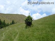 [P34]  -- <small>// FĂRĂ DESCRIERE</small> » foto by ionescunic
 - 
<span class="allrVoted glyphicon glyphicon-heart hidden" id="av103936"></span>
<a class="m-l-10 hidden" id="sv103936" onclick="voting_Foto_DelVot(,103936,4076)" role="button">șterge vot <span class="glyphicon glyphicon-remove"></span></a>
<a id="v9103936" class=" c-red"  onclick="voting_Foto_SetVot(103936)" role="button"><span class="glyphicon glyphicon-heart-empty"></span> <b>LIKE</b> = Votează poza</a> <img class="hidden"  id="f103936W9" src="/imagini/loader.gif" border="0" /><span class="AjErrMes hidden" id="e103936ErM"></span>