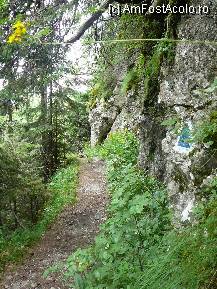 [P35] Poteca spre Busteni, in prima jumatate a traseului, unde zona este mai salbatica » foto by Claudiu U.
 - 
<span class="allrVoted glyphicon glyphicon-heart hidden" id="av244500"></span>
<a class="m-l-10 hidden" id="sv244500" onclick="voting_Foto_DelVot(,244500,4076)" role="button">șterge vot <span class="glyphicon glyphicon-remove"></span></a>
<a id="v9244500" class=" c-red"  onclick="voting_Foto_SetVot(244500)" role="button"><span class="glyphicon glyphicon-heart-empty"></span> <b>LIKE</b> = Votează poza</a> <img class="hidden"  id="f244500W9" src="/imagini/loader.gif" border="0" /><span class="AjErrMes hidden" id="e244500ErM"></span>