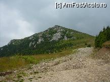 [P09] Pe drumul forestier, de la Cota 1400 spre cabana Miorita. In fundal se inalta Varful cu Dor » foto by Claudiu U.
 - 
<span class="allrVoted glyphicon glyphicon-heart hidden" id="av244471"></span>
<a class="m-l-10 hidden" id="sv244471" onclick="voting_Foto_DelVot(,244471,4076)" role="button">șterge vot <span class="glyphicon glyphicon-remove"></span></a>
<a id="v9244471" class=" c-red"  onclick="voting_Foto_SetVot(244471)" role="button"><span class="glyphicon glyphicon-heart-empty"></span> <b>LIKE</b> = Votează poza</a> <img class="hidden"  id="f244471W9" src="/imagini/loader.gif" border="0" /><span class="AjErrMes hidden" id="e244471ErM"></span>