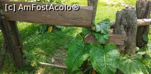 [P13] Cabana Poiana Izvoarelor, Masivul Bucegi » foto by Mioritik
 - 
<span class="allrVoted glyphicon glyphicon-heart hidden" id="av1239978"></span>
<a class="m-l-10 hidden" id="sv1239978" onclick="voting_Foto_DelVot(,1239978,4076)" role="button">șterge vot <span class="glyphicon glyphicon-remove"></span></a>
<a id="v91239978" class=" c-red"  onclick="voting_Foto_SetVot(1239978)" role="button"><span class="glyphicon glyphicon-heart-empty"></span> <b>LIKE</b> = Votează poza</a> <img class="hidden"  id="f1239978W9" src="/imagini/loader.gif" border="0" /><span class="AjErrMes hidden" id="e1239978ErM"></span>