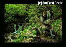 [P16] Siroire de clipe » foto by private_rayen
 - 
<span class="allrVoted glyphicon glyphicon-heart hidden" id="av187606"></span>
<a class="m-l-10 hidden" id="sv187606" onclick="voting_Foto_DelVot(,187606,4076)" role="button">șterge vot <span class="glyphicon glyphicon-remove"></span></a>
<a id="v9187606" class=" c-red"  onclick="voting_Foto_SetVot(187606)" role="button"><span class="glyphicon glyphicon-heart-empty"></span> <b>LIKE</b> = Votează poza</a> <img class="hidden"  id="f187606W9" src="/imagini/loader.gif" border="0" /><span class="AjErrMes hidden" id="e187606ErM"></span>