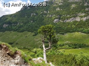 [P13] Spectacolul naturii în Munții Bucegi. » foto by Floryn81
 - 
<span class="allrVoted glyphicon glyphicon-heart hidden" id="av1172891"></span>
<a class="m-l-10 hidden" id="sv1172891" onclick="voting_Foto_DelVot(,1172891,4076)" role="button">șterge vot <span class="glyphicon glyphicon-remove"></span></a>
<a id="v91172891" class=" c-red"  onclick="voting_Foto_SetVot(1172891)" role="button"><span class="glyphicon glyphicon-heart-empty"></span> <b>LIKE</b> = Votează poza</a> <img class="hidden"  id="f1172891W9" src="/imagini/loader.gif" border="0" /><span class="AjErrMes hidden" id="e1172891ErM"></span>