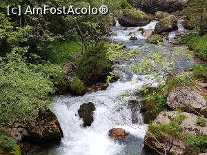 [P05] Ialomița curge vijelios printre stânci. » foto by Floryn81
 - 
<span class="allrVoted glyphicon glyphicon-heart hidden" id="av1172883"></span>
<a class="m-l-10 hidden" id="sv1172883" onclick="voting_Foto_DelVot(,1172883,4076)" role="button">șterge vot <span class="glyphicon glyphicon-remove"></span></a>
<a id="v91172883" class=" c-red"  onclick="voting_Foto_SetVot(1172883)" role="button"><span class="glyphicon glyphicon-heart-empty"></span> <b>LIKE</b> = Votează poza</a> <img class="hidden"  id="f1172883W9" src="/imagini/loader.gif" border="0" /><span class="AjErrMes hidden" id="e1172883ErM"></span>