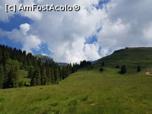 [P07] Poteca urcă pentru început către stânga. » foto by Floryn81
 - 
<span class="allrVoted glyphicon glyphicon-heart hidden" id="av1172885"></span>
<a class="m-l-10 hidden" id="sv1172885" onclick="voting_Foto_DelVot(,1172885,4076)" role="button">șterge vot <span class="glyphicon glyphicon-remove"></span></a>
<a id="v91172885" class=" c-red"  onclick="voting_Foto_SetVot(1172885)" role="button"><span class="glyphicon glyphicon-heart-empty"></span> <b>LIKE</b> = Votează poza</a> <img class="hidden"  id="f1172885W9" src="/imagini/loader.gif" border="0" /><span class="AjErrMes hidden" id="e1172885ErM"></span>