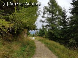 [P32] Am urmat poteca, bucurându-ne de această ușoară drumeție. » foto by Floryn81
 - 
<span class="allrVoted glyphicon glyphicon-heart hidden" id="av1198240"></span>
<a class="m-l-10 hidden" id="sv1198240" onclick="voting_Foto_DelVot(,1198240,4076)" role="button">șterge vot <span class="glyphicon glyphicon-remove"></span></a>
<a id="v91198240" class=" c-red"  onclick="voting_Foto_SetVot(1198240)" role="button"><span class="glyphicon glyphicon-heart-empty"></span> <b>LIKE</b> = Votează poza</a> <img class="hidden"  id="f1198240W9" src="/imagini/loader.gif" border="0" /><span class="AjErrMes hidden" id="e1198240ErM"></span>