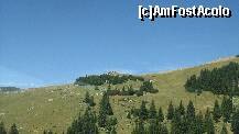 [P42]  -- <small>// FĂRĂ DESCRIERE</small> » foto by cristi82d
 - 
<span class="allrVoted glyphicon glyphicon-heart hidden" id="av125779"></span>
<a class="m-l-10 hidden" id="sv125779" onclick="voting_Foto_DelVot(,125779,4076)" role="button">șterge vot <span class="glyphicon glyphicon-remove"></span></a>
<a id="v9125779" class=" c-red"  onclick="voting_Foto_SetVot(125779)" role="button"><span class="glyphicon glyphicon-heart-empty"></span> <b>LIKE</b> = Votează poza</a> <img class="hidden"  id="f125779W9" src="/imagini/loader.gif" border="0" /><span class="AjErrMes hidden" id="e125779ErM"></span>
