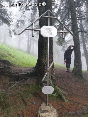 [P12] un mic monument al unui iubitor al muntelui » foto by robert
 - 
<span class="allrVoted glyphicon glyphicon-heart hidden" id="av1169727"></span>
<a class="m-l-10 hidden" id="sv1169727" onclick="voting_Foto_DelVot(,1169727,4076)" role="button">șterge vot <span class="glyphicon glyphicon-remove"></span></a>
<a id="v91169727" class=" c-red"  onclick="voting_Foto_SetVot(1169727)" role="button"><span class="glyphicon glyphicon-heart-empty"></span> <b>LIKE</b> = Votează poza</a> <img class="hidden"  id="f1169727W9" src="/imagini/loader.gif" border="0" /><span class="AjErrMes hidden" id="e1169727ErM"></span>