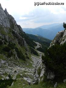 [P21] am avut parte si de grohotis ca doar nu degeaba ii zice Muntele Grohotisului » foto by florentin_dobre
 - 
<span class="allrVoted glyphicon glyphicon-heart hidden" id="av462549"></span>
<a class="m-l-10 hidden" id="sv462549" onclick="voting_Foto_DelVot(,462549,4076)" role="button">șterge vot <span class="glyphicon glyphicon-remove"></span></a>
<a id="v9462549" class=" c-red"  onclick="voting_Foto_SetVot(462549)" role="button"><span class="glyphicon glyphicon-heart-empty"></span> <b>LIKE</b> = Votează poza</a> <img class="hidden"  id="f462549W9" src="/imagini/loader.gif" border="0" /><span class="AjErrMes hidden" id="e462549ErM"></span>