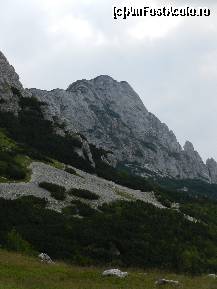 [P23] sa fie Coltii Tapului?  » foto by florentin_dobre
 - 
<span class="allrVoted glyphicon glyphicon-heart hidden" id="av462551"></span>
<a class="m-l-10 hidden" id="sv462551" onclick="voting_Foto_DelVot(,462551,4076)" role="button">șterge vot <span class="glyphicon glyphicon-remove"></span></a>
<a id="v9462551" class=" c-red"  onclick="voting_Foto_SetVot(462551)" role="button"><span class="glyphicon glyphicon-heart-empty"></span> <b>LIKE</b> = Votează poza</a> <img class="hidden"  id="f462551W9" src="/imagini/loader.gif" border="0" /><span class="AjErrMes hidden" id="e462551ErM"></span>