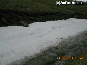 [P14] zapada in luna mai » foto by zlatna
 - 
<span class="allrVoted glyphicon glyphicon-heart hidden" id="av511390"></span>
<a class="m-l-10 hidden" id="sv511390" onclick="voting_Foto_DelVot(,511390,4076)" role="button">șterge vot <span class="glyphicon glyphicon-remove"></span></a>
<a id="v9511390" class=" c-red"  onclick="voting_Foto_SetVot(511390)" role="button"><span class="glyphicon glyphicon-heart-empty"></span> <b>LIKE</b> = Votează poza</a> <img class="hidden"  id="f511390W9" src="/imagini/loader.gif" border="0" /><span class="AjErrMes hidden" id="e511390ErM"></span>