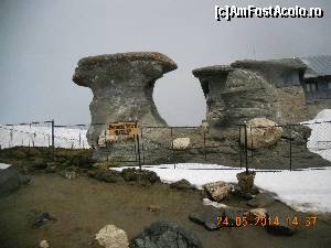 [P20] Babele privite din fata » foto by zlatna
 - 
<span class="allrVoted glyphicon glyphicon-heart hidden" id="av511396"></span>
<a class="m-l-10 hidden" id="sv511396" onclick="voting_Foto_DelVot(,511396,4076)" role="button">șterge vot <span class="glyphicon glyphicon-remove"></span></a>
<a id="v9511396" class=" c-red"  onclick="voting_Foto_SetVot(511396)" role="button"><span class="glyphicon glyphicon-heart-empty"></span> <b>LIKE</b> = Votează poza</a> <img class="hidden"  id="f511396W9" src="/imagini/loader.gif" border="0" /><span class="AjErrMes hidden" id="e511396ErM"></span>