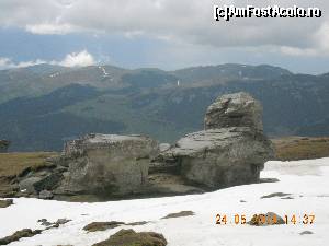 [P21] Sfinxul sta mandru » foto by zlatna
 - 
<span class="allrVoted glyphicon glyphicon-heart hidden" id="av511397"></span>
<a class="m-l-10 hidden" id="sv511397" onclick="voting_Foto_DelVot(,511397,4076)" role="button">șterge vot <span class="glyphicon glyphicon-remove"></span></a>
<a id="v9511397" class=" c-red"  onclick="voting_Foto_SetVot(511397)" role="button"><span class="glyphicon glyphicon-heart-empty"></span> <b>LIKE</b> = Votează poza</a> <img class="hidden"  id="f511397W9" src="/imagini/loader.gif" border="0" /><span class="AjErrMes hidden" id="e511397ErM"></span>