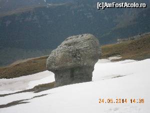 [P25]  -- <small>// FĂRĂ DESCRIERE</small> » foto by zlatna
 - 
<span class="allrVoted glyphicon glyphicon-heart hidden" id="av511401"></span>
<a class="m-l-10 hidden" id="sv511401" onclick="voting_Foto_DelVot(,511401,4076)" role="button">șterge vot <span class="glyphicon glyphicon-remove"></span></a>
<a id="v9511401" class=" c-red"  onclick="voting_Foto_SetVot(511401)" role="button"><span class="glyphicon glyphicon-heart-empty"></span> <b>LIKE</b> = Votează poza</a> <img class="hidden"  id="f511401W9" src="/imagini/loader.gif" border="0" /><span class="AjErrMes hidden" id="e511401ErM"></span>