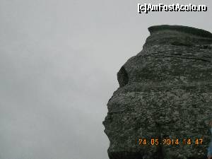 [P26] SFINXUL » foto by zlatna
 - 
<span class="allrVoted glyphicon glyphicon-heart hidden" id="av511402"></span>
<a class="m-l-10 hidden" id="sv511402" onclick="voting_Foto_DelVot(,511402,4076)" role="button">șterge vot <span class="glyphicon glyphicon-remove"></span></a>
<a id="v9511402" class=" c-red"  onclick="voting_Foto_SetVot(511402)" role="button"><span class="glyphicon glyphicon-heart-empty"></span> <b>LIKE</b> = Votează poza</a> <img class="hidden"  id="f511402W9" src="/imagini/loader.gif" border="0" /><span class="AjErrMes hidden" id="e511402ErM"></span>