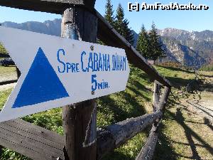 [P13]  -- <small>// FĂRĂ DESCRIERE</small> » foto by wolf2001*
 - 
<span class="allrVoted glyphicon glyphicon-heart hidden" id="av582504"></span>
<a class="m-l-10 hidden" id="sv582504" onclick="voting_Foto_DelVot(,582504,4076)" role="button">șterge vot <span class="glyphicon glyphicon-remove"></span></a>
<a id="v9582504" class=" c-red"  onclick="voting_Foto_SetVot(582504)" role="button"><span class="glyphicon glyphicon-heart-empty"></span> <b>LIKE</b> = Votează poza</a> <img class="hidden"  id="f582504W9" src="/imagini/loader.gif" border="0" /><span class="AjErrMes hidden" id="e582504ErM"></span>