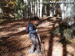 [P06]  -- <small>// FĂRĂ DESCRIERE</small> » foto by wolf2001*
 - 
<span class="allrVoted glyphicon glyphicon-heart hidden" id="av582497"></span>
<a class="m-l-10 hidden" id="sv582497" onclick="voting_Foto_DelVot(,582497,4076)" role="button">șterge vot <span class="glyphicon glyphicon-remove"></span></a>
<a id="v9582497" class=" c-red"  onclick="voting_Foto_SetVot(582497)" role="button"><span class="glyphicon glyphicon-heart-empty"></span> <b>LIKE</b> = Votează poza</a> <img class="hidden"  id="f582497W9" src="/imagini/loader.gif" border="0" /><span class="AjErrMes hidden" id="e582497ErM"></span>