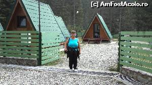 [P18] dana la camping zanoaga 2013 » foto by niculae gelu
 - 
<span class="allrVoted glyphicon glyphicon-heart hidden" id="av536219"></span>
<a class="m-l-10 hidden" id="sv536219" onclick="voting_Foto_DelVot(,536219,4076)" role="button">șterge vot <span class="glyphicon glyphicon-remove"></span></a>
<a id="v9536219" class=" c-red"  onclick="voting_Foto_SetVot(536219)" role="button"><span class="glyphicon glyphicon-heart-empty"></span> <b>LIKE</b> = Votează poza</a> <img class="hidden"  id="f536219W9" src="/imagini/loader.gif" border="0" /><span class="AjErrMes hidden" id="e536219ErM"></span>