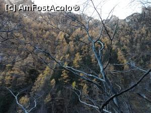 [P13] Peisaj de toamnă in Bucegi » foto by Mika
 - 
<span class="allrVoted glyphicon glyphicon-heart hidden" id="av1205172"></span>
<a class="m-l-10 hidden" id="sv1205172" onclick="voting_Foto_DelVot(,1205172,4076)" role="button">șterge vot <span class="glyphicon glyphicon-remove"></span></a>
<a id="v91205172" class=" c-red"  onclick="voting_Foto_SetVot(1205172)" role="button"><span class="glyphicon glyphicon-heart-empty"></span> <b>LIKE</b> = Votează poza</a> <img class="hidden"  id="f1205172W9" src="/imagini/loader.gif" border="0" /><span class="AjErrMes hidden" id="e1205172ErM"></span>