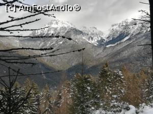 [P24] Varful Lacia și Valea Gaura » foto by Mika
 - 
<span class="allrVoted glyphicon glyphicon-heart hidden" id="av1217177"></span>
<a class="m-l-10 hidden" id="sv1217177" onclick="voting_Foto_DelVot(,1217177,4076)" role="button">șterge vot <span class="glyphicon glyphicon-remove"></span></a>
<a id="v91217177" class=" c-red"  onclick="voting_Foto_SetVot(1217177)" role="button"><span class="glyphicon glyphicon-heart-empty"></span> <b>LIKE</b> = Votează poza</a> <img class="hidden"  id="f1217177W9" src="/imagini/loader.gif" border="0" /><span class="AjErrMes hidden" id="e1217177ErM"></span>