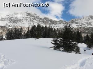 [P37] Abruptul Bucegilor cu Bătrâna și Guțanu » foto by Mika
 - 
<span class="allrVoted glyphicon glyphicon-heart hidden" id="av1217190"></span>
<a class="m-l-10 hidden" id="sv1217190" onclick="voting_Foto_DelVot(,1217190,4076)" role="button">șterge vot <span class="glyphicon glyphicon-remove"></span></a>
<a id="v91217190" class=" c-red"  onclick="voting_Foto_SetVot(1217190)" role="button"><span class="glyphicon glyphicon-heart-empty"></span> <b>LIKE</b> = Votează poza</a> <img class="hidden"  id="f1217190W9" src="/imagini/loader.gif" border="0" /><span class="AjErrMes hidden" id="e1217190ErM"></span>