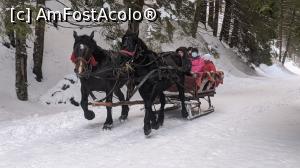 [P41] Pe drumul forestier care merge la Resortul Mistral » foto by Mika
 - 
<span class="allrVoted glyphicon glyphicon-heart hidden" id="av1217194"></span>
<a class="m-l-10 hidden" id="sv1217194" onclick="voting_Foto_DelVot(,1217194,4076)" role="button">șterge vot <span class="glyphicon glyphicon-remove"></span></a>
<a id="v91217194" class=" c-red"  onclick="voting_Foto_SetVot(1217194)" role="button"><span class="glyphicon glyphicon-heart-empty"></span> <b>LIKE</b> = Votează poza</a> <img class="hidden"  id="f1217194W9" src="/imagini/loader.gif" border="0" /><span class="AjErrMes hidden" id="e1217194ErM"></span>