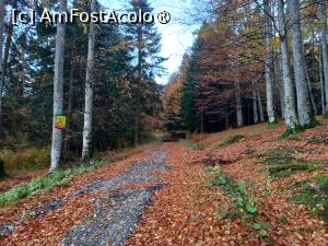 [P03] Spre Valea Albă la sfârșit de octombrie » foto by Mika
 - 
<span class="allrVoted glyphicon glyphicon-heart hidden" id="av1402117"></span>
<a class="m-l-10 hidden" id="sv1402117" onclick="voting_Foto_DelVot(,1402117,4076)" role="button">șterge vot <span class="glyphicon glyphicon-remove"></span></a>
<a id="v91402117" class=" c-red"  onclick="voting_Foto_SetVot(1402117)" role="button"><span class="glyphicon glyphicon-heart-empty"></span> <b>LIKE</b> = Votează poza</a> <img class="hidden"  id="f1402117W9" src="/imagini/loader.gif" border="0" /><span class="AjErrMes hidden" id="e1402117ErM"></span>