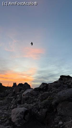 [P20] Am fost acolo » foto by Mika
 - 
<span class="allrVoted glyphicon glyphicon-heart hidden" id="av1499477"></span>
<a class="m-l-10 hidden" id="sv1499477" onclick="voting_Foto_DelVot(,1499477,4076)" role="button">șterge vot <span class="glyphicon glyphicon-remove"></span></a>
<a id="v91499477" class=" c-red"  onclick="voting_Foto_SetVot(1499477)" role="button"><span class="glyphicon glyphicon-heart-empty"></span> <b>LIKE</b> = Votează poza</a> <img class="hidden"  id="f1499477W9" src="/imagini/loader.gif" border="0" /><span class="AjErrMes hidden" id="e1499477ErM"></span>