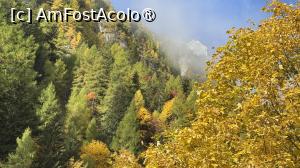 [P16] Pe Valcelul Țițeica » foto by Mika
 - 
<span class="allrVoted glyphicon glyphicon-heart hidden" id="av1548191"></span>
<a class="m-l-10 hidden" id="sv1548191" onclick="voting_Foto_DelVot(,1548191,4076)" role="button">șterge vot <span class="glyphicon glyphicon-remove"></span></a>
<a id="v91548191" class=" c-red"  onclick="voting_Foto_SetVot(1548191)" role="button"><span class="glyphicon glyphicon-heart-empty"></span> <b>LIKE</b> = Votează poza</a> <img class="hidden"  id="f1548191W9" src="/imagini/loader.gif" border="0" /><span class="AjErrMes hidden" id="e1548191ErM"></span>