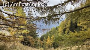 [P27] Pe Valcelul Țițeica » foto by Mika
 - 
<span class="allrVoted glyphicon glyphicon-heart hidden" id="av1548202"></span>
<a class="m-l-10 hidden" id="sv1548202" onclick="voting_Foto_DelVot(,1548202,4076)" role="button">șterge vot <span class="glyphicon glyphicon-remove"></span></a>
<a id="v91548202" class=" c-red"  onclick="voting_Foto_SetVot(1548202)" role="button"><span class="glyphicon glyphicon-heart-empty"></span> <b>LIKE</b> = Votează poza</a> <img class="hidden"  id="f1548202W9" src="/imagini/loader.gif" border="0" /><span class="AjErrMes hidden" id="e1548202ErM"></span>