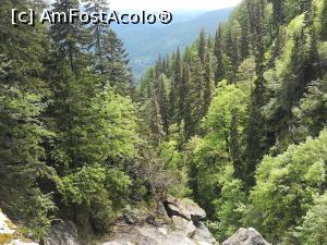 [P19] valea de unde am venit » foto by Mika
 - 
<span class="allrVoted glyphicon glyphicon-heart hidden" id="av1167592"></span>
<a class="m-l-10 hidden" id="sv1167592" onclick="voting_Foto_DelVot(,1167592,4076)" role="button">șterge vot <span class="glyphicon glyphicon-remove"></span></a>
<a id="v91167592" class=" c-red"  onclick="voting_Foto_SetVot(1167592)" role="button"><span class="glyphicon glyphicon-heart-empty"></span> <b>LIKE</b> = Votează poza</a> <img class="hidden"  id="f1167592W9" src="/imagini/loader.gif" border="0" /><span class="AjErrMes hidden" id="e1167592ErM"></span>