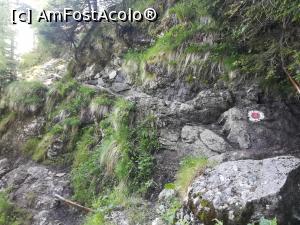 [P53] Am ajuns in poteca marcată » foto by Mika
 - 
<span class="allrVoted glyphicon glyphicon-heart hidden" id="av1167626"></span>
<a class="m-l-10 hidden" id="sv1167626" onclick="voting_Foto_DelVot(,1167626,4076)" role="button">șterge vot <span class="glyphicon glyphicon-remove"></span></a>
<a id="v91167626" class=" c-red"  onclick="voting_Foto_SetVot(1167626)" role="button"><span class="glyphicon glyphicon-heart-empty"></span> <b>LIKE</b> = Votează poza</a> <img class="hidden"  id="f1167626W9" src="/imagini/loader.gif" border="0" /><span class="AjErrMes hidden" id="e1167626ErM"></span>