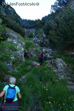 [P16] Pe Valea Gaura » foto by Mika
 - 
<span class="allrVoted glyphicon glyphicon-heart hidden" id="av1172216"></span>
<a class="m-l-10 hidden" id="sv1172216" onclick="voting_Foto_DelVot(,1172216,4076)" role="button">șterge vot <span class="glyphicon glyphicon-remove"></span></a>
<a id="v91172216" class=" c-red"  onclick="voting_Foto_SetVot(1172216)" role="button"><span class="glyphicon glyphicon-heart-empty"></span> <b>LIKE</b> = Votează poza</a> <img class="hidden"  id="f1172216W9" src="/imagini/loader.gif" border="0" /><span class="AjErrMes hidden" id="e1172216ErM"></span>