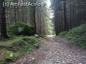 [P03] Prima parte de drum forestier » foto by Mika
 - 
<span class="allrVoted glyphicon glyphicon-heart hidden" id="av1172203"></span>
<a class="m-l-10 hidden" id="sv1172203" onclick="voting_Foto_DelVot(,1172203,4076)" role="button">șterge vot <span class="glyphicon glyphicon-remove"></span></a>
<a id="v91172203" class=" c-red"  onclick="voting_Foto_SetVot(1172203)" role="button"><span class="glyphicon glyphicon-heart-empty"></span> <b>LIKE</b> = Votează poza</a> <img class="hidden"  id="f1172203W9" src="/imagini/loader.gif" border="0" /><span class="AjErrMes hidden" id="e1172203ErM"></span>