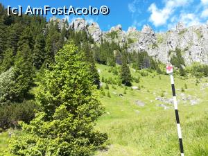 [P45] Acolo sus am fost și noi » foto by Mika
 - 
<span class="allrVoted glyphicon glyphicon-heart hidden" id="av1172245"></span>
<a class="m-l-10 hidden" id="sv1172245" onclick="voting_Foto_DelVot(,1172245,4076)" role="button">șterge vot <span class="glyphicon glyphicon-remove"></span></a>
<a id="v91172245" class=" c-red"  onclick="voting_Foto_SetVot(1172245)" role="button"><span class="glyphicon glyphicon-heart-empty"></span> <b>LIKE</b> = Votează poza</a> <img class="hidden"  id="f1172245W9" src="/imagini/loader.gif" border="0" /><span class="AjErrMes hidden" id="e1172245ErM"></span>