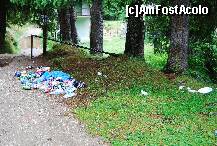 [P13] Pe acelasi traseu...spre pestera...la noi...in Romania. Fara cuvinte. » foto by gregorio
 - 
<span class="allrVoted glyphicon glyphicon-heart hidden" id="av242082"></span>
<a class="m-l-10 hidden" id="sv242082" onclick="voting_Foto_DelVot(,242082,4076)" role="button">șterge vot <span class="glyphicon glyphicon-remove"></span></a>
<a id="v9242082" class=" c-red"  onclick="voting_Foto_SetVot(242082)" role="button"><span class="glyphicon glyphicon-heart-empty"></span> <b>LIKE</b> = Votează poza</a> <img class="hidden"  id="f242082W9" src="/imagini/loader.gif" border="0" /><span class="AjErrMes hidden" id="e242082ErM"></span>