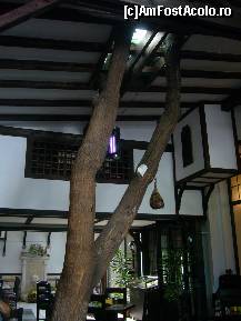 [P07] Restaurantul Balcic - 'terasa' restaurantului, copacul cu pricina » foto by magdalena
 - 
<span class="allrVoted glyphicon glyphicon-heart hidden" id="av249488"></span>
<a class="m-l-10 hidden" id="sv249488" onclick="voting_Foto_DelVot(,249488,4083)" role="button">șterge vot <span class="glyphicon glyphicon-remove"></span></a>
<a id="v9249488" class=" c-red"  onclick="voting_Foto_SetVot(249488)" role="button"><span class="glyphicon glyphicon-heart-empty"></span> <b>LIKE</b> = Votează poza</a> <img class="hidden"  id="f249488W9" src="/imagini/loader.gif" border="0" /><span class="AjErrMes hidden" id="e249488ErM"></span>