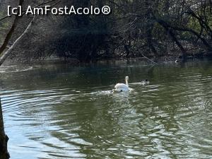 [P21] Prin parcul IOR - lacul » foto by nicole33
 - 
<span class="allrVoted glyphicon glyphicon-heart hidden" id="av1359581"></span>
<a class="m-l-10 hidden" id="sv1359581" onclick="voting_Foto_DelVot(,1359581,4083)" role="button">șterge vot <span class="glyphicon glyphicon-remove"></span></a>
<a id="v91359581" class=" c-red"  onclick="voting_Foto_SetVot(1359581)" role="button"><span class="glyphicon glyphicon-heart-empty"></span> <b>LIKE</b> = Votează poza</a> <img class="hidden"  id="f1359581W9" src="/imagini/loader.gif" border="0" /><span class="AjErrMes hidden" id="e1359581ErM"></span>