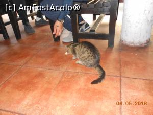 [P23] La Cocoșatu’ - Un musafir la masă.  » foto by iulianic
 - 
<span class="allrVoted glyphicon glyphicon-heart hidden" id="av964083"></span>
<a class="m-l-10 hidden" id="sv964083" onclick="voting_Foto_DelVot(,964083,4083)" role="button">șterge vot <span class="glyphicon glyphicon-remove"></span></a>
<a id="v9964083" class=" c-red"  onclick="voting_Foto_SetVot(964083)" role="button"><span class="glyphicon glyphicon-heart-empty"></span> <b>LIKE</b> = Votează poza</a> <img class="hidden"  id="f964083W9" src="/imagini/loader.gif" border="0" /><span class="AjErrMes hidden" id="e964083ErM"></span>