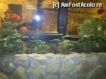 [P07] Multe muscate la ferestre... » foto by alinaro
 - 
<span class="allrVoted glyphicon glyphicon-heart hidden" id="av326610"></span>
<a class="m-l-10 hidden" id="sv326610" onclick="voting_Foto_DelVot(,326610,4083)" role="button">șterge vot <span class="glyphicon glyphicon-remove"></span></a>
<a id="v9326610" class=" c-red"  onclick="voting_Foto_SetVot(326610)" role="button"><span class="glyphicon glyphicon-heart-empty"></span> <b>LIKE</b> = Votează poza</a> <img class="hidden"  id="f326610W9" src="/imagini/loader.gif" border="0" /><span class="AjErrMes hidden" id="e326610ErM"></span>