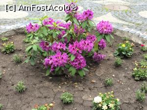 [P12] Casa Oamenilor de Stiinta- O pata de culoare!  » foto by Floria
 - 
<span class="allrVoted glyphicon glyphicon-heart hidden" id="av855001"></span>
<a class="m-l-10 hidden" id="sv855001" onclick="voting_Foto_DelVot(,855001,4083)" role="button">șterge vot <span class="glyphicon glyphicon-remove"></span></a>
<a id="v9855001" class=" c-red"  onclick="voting_Foto_SetVot(855001)" role="button"><span class="glyphicon glyphicon-heart-empty"></span> <b>LIKE</b> = Votează poza</a> <img class="hidden"  id="f855001W9" src="/imagini/loader.gif" border="0" /><span class="AjErrMes hidden" id="e855001ErM"></span>