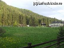 [P06] Bucovina si atat. » foto by TEOANCA
 - 
<span class="allrVoted glyphicon glyphicon-heart hidden" id="av203096"></span>
<a class="m-l-10 hidden" id="sv203096" onclick="voting_Foto_DelVot(,203096,4091)" role="button">șterge vot <span class="glyphicon glyphicon-remove"></span></a>
<a id="v9203096" class=" c-red"  onclick="voting_Foto_SetVot(203096)" role="button"><span class="glyphicon glyphicon-heart-empty"></span> <b>LIKE</b> = Votează poza</a> <img class="hidden"  id="f203096W9" src="/imagini/loader.gif" border="0" /><span class="AjErrMes hidden" id="e203096ErM"></span>