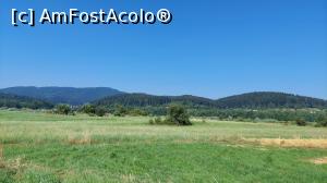 [P65] &Icirc;n drum spre Putna » foto by Carmen Ion
 - 
<span class="allrVoted glyphicon glyphicon-heart hidden" id="av1383020"></span>
<a class="m-l-10 hidden" id="sv1383020" onclick="voting_Foto_DelVot(,1383020,4091)" role="button">șterge vot <span class="glyphicon glyphicon-remove"></span></a>
<a id="v91383020" class=" c-red"  onclick="voting_Foto_SetVot(1383020)" role="button"><span class="glyphicon glyphicon-heart-empty"></span> <b>LIKE</b> = Votează poza</a> <img class="hidden"  id="f1383020W9" src="/imagini/loader.gif" border="0" /><span class="AjErrMes hidden" id="e1383020ErM"></span>