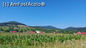 [P66] &Icirc;n drum spre Putna » foto by Carmen Ion
 - 
<span class="allrVoted glyphicon glyphicon-heart hidden" id="av1383021"></span>
<a class="m-l-10 hidden" id="sv1383021" onclick="voting_Foto_DelVot(,1383021,4091)" role="button">șterge vot <span class="glyphicon glyphicon-remove"></span></a>
<a id="v91383021" class=" c-red"  onclick="voting_Foto_SetVot(1383021)" role="button"><span class="glyphicon glyphicon-heart-empty"></span> <b>LIKE</b> = Votează poza</a> <img class="hidden"  id="f1383021W9" src="/imagini/loader.gif" border="0" /><span class="AjErrMes hidden" id="e1383021ErM"></span>