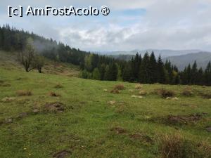 [P16] Bucovina » foto by Marius 72
 - 
<span class="allrVoted glyphicon glyphicon-heart hidden" id="av1494963"></span>
<a class="m-l-10 hidden" id="sv1494963" onclick="voting_Foto_DelVot(,1494963,4091)" role="button">șterge vot <span class="glyphicon glyphicon-remove"></span></a>
<a id="v91494963" class=" c-red"  onclick="voting_Foto_SetVot(1494963)" role="button"><span class="glyphicon glyphicon-heart-empty"></span> <b>LIKE</b> = Votează poza</a> <img class="hidden"  id="f1494963W9" src="/imagini/loader.gif" border="0" /><span class="AjErrMes hidden" id="e1494963ErM"></span>