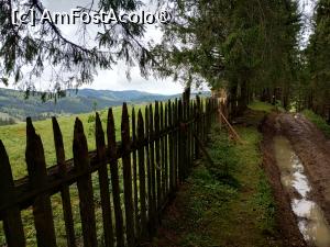 [P17] Pe aici am umblat » foto by Marius 72
 - 
<span class="allrVoted glyphicon glyphicon-heart hidden" id="av1494964"></span>
<a class="m-l-10 hidden" id="sv1494964" onclick="voting_Foto_DelVot(,1494964,4091)" role="button">șterge vot <span class="glyphicon glyphicon-remove"></span></a>
<a id="v91494964" class=" c-red"  onclick="voting_Foto_SetVot(1494964)" role="button"><span class="glyphicon glyphicon-heart-empty"></span> <b>LIKE</b> = Votează poza</a> <img class="hidden"  id="f1494964W9" src="/imagini/loader.gif" border="0" /><span class="AjErrMes hidden" id="e1494964ErM"></span>