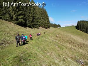 [P21] Sub un soare călduţ la mişcare » foto by Marius 72
 - 
<span class="allrVoted glyphicon glyphicon-heart hidden" id="av1494968"></span>
<a class="m-l-10 hidden" id="sv1494968" onclick="voting_Foto_DelVot(,1494968,4091)" role="button">șterge vot <span class="glyphicon glyphicon-remove"></span></a>
<a id="v91494968" class=" c-red"  onclick="voting_Foto_SetVot(1494968)" role="button"><span class="glyphicon glyphicon-heart-empty"></span> <b>LIKE</b> = Votează poza</a> <img class="hidden"  id="f1494968W9" src="/imagini/loader.gif" border="0" /><span class="AjErrMes hidden" id="e1494968ErM"></span>