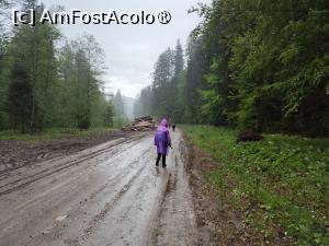 [P22] Dar a mai şi plouat... » foto by Marius 72
 - 
<span class="allrVoted glyphicon glyphicon-heart hidden" id="av1494969"></span>
<a class="m-l-10 hidden" id="sv1494969" onclick="voting_Foto_DelVot(,1494969,4091)" role="button">șterge vot <span class="glyphicon glyphicon-remove"></span></a>
<a id="v91494969" class=" c-red"  onclick="voting_Foto_SetVot(1494969)" role="button"><span class="glyphicon glyphicon-heart-empty"></span> <b>LIKE</b> = Votează poza</a> <img class="hidden"  id="f1494969W9" src="/imagini/loader.gif" border="0" /><span class="AjErrMes hidden" id="e1494969ErM"></span>